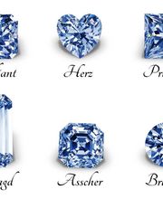 Algordanza AG Bild 4