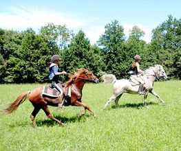 Equiloisirs image 1
