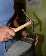 Cesa Frédéric image 6