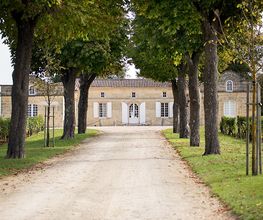 Château Trottevieille image 1