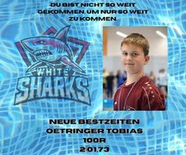 White Sharks e.V. Bild 5