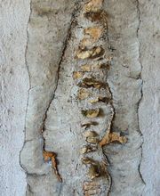 Les Faiseurs.Org image 3