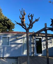 Sanka Prestations image 4