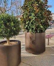 Etoile Metal image 4