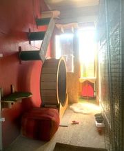 gardechat.fr image 3