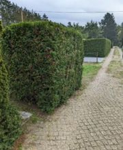 Robert Schöne Garten - und Bauservice Bild 3