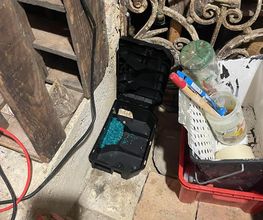 Poitou 3D image 5