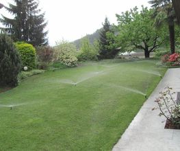 Art & Giardini Sagl Bild 11