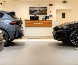 Gino BMW e MINI Biella immagine 20