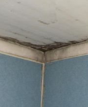 SARL Humiditec image 1