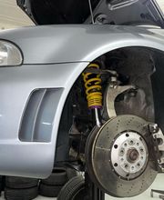 Helvetia Customs Radunovic Bild 6