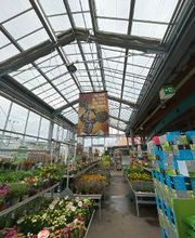 Jardinerie HORNBACH Etoy Bild 3