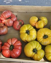 Like Cigarette image 3