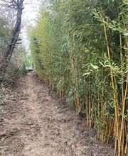 Chaubet Eau Vert Paysage SARL image 2