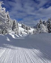 Mountain Evasion Sàrl Bild 1