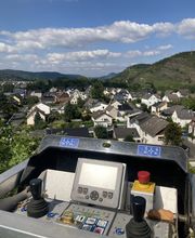 Gebr. Klein - Baumdienst und Gartengestaltung Bild 2