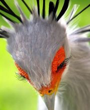 Sabin Marketing and Promotions image 4