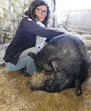 Breaud Magali image 6