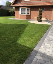 Der grüne Daumen Junior GmbH & Co. KG Bild 3