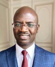 Dia Ibrahima image 1