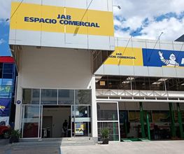 Llantas Altozano Michelin imagen 9