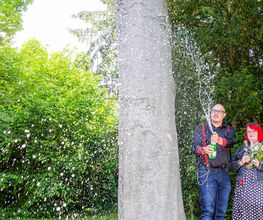 MLsFotoArt Bild 7