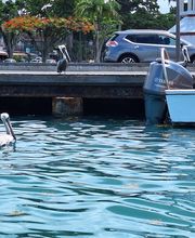 Smiley Location image 19