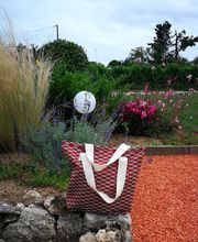 Mas Veronique image 8