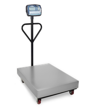 Mancel Pesage image 13