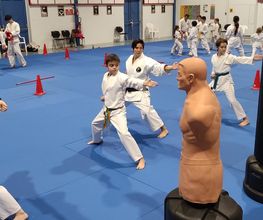 ASPB KARATE BUDO image 18