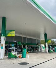 bp imagen 2