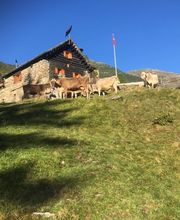 AZIENDA AGRICOLA ARCIONI LUIGI Bild 5