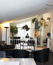 Chameleon European Salon image 1