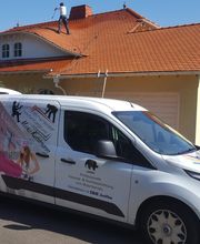 Mirko Kuhlmann GmbH Maler- und Lackierbetrieb Bild 7