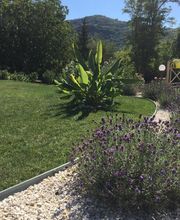 Jardins & Création image 1