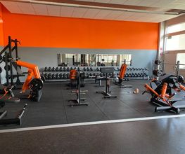 David Gym 47 Bild 2