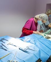 Clinique Vétérinaire des 2 Vallées image 4