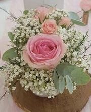 Hellebore image 12