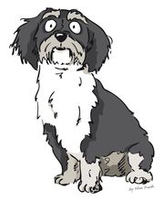 Vicos Welt, die Hundedesigner - Hundebäckerei Bild 1