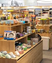 Arcaplanet immagine 1