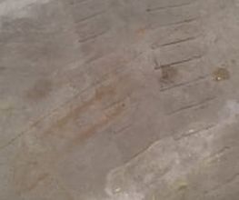 219787975-1-tLV3oYFLw41727163831976.jpeg