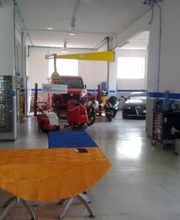 Gallery Cliente