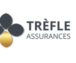 Trefle Assurances image 11