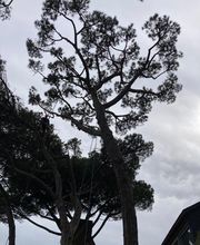 Gestin Environnement image 6