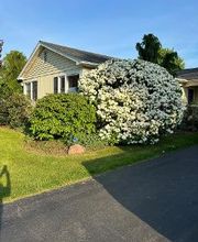 Vincent Associates Real Estate image 7