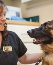 Sangaree Animal Hospital image 6