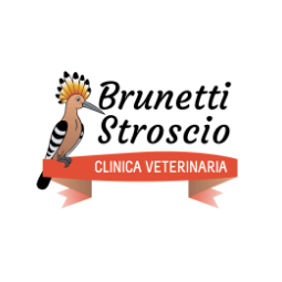 Clinica Veterinaria Brunetti - Stroscio logo