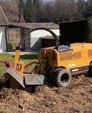 Grünplus AG Lehmann Bild 5