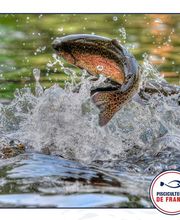 Pisciculture des sources de la touvre image 3