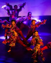 Dance Gallery Bild 9